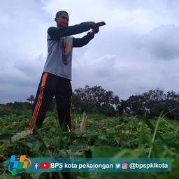 Praktek Lapangan Program Baru KSA