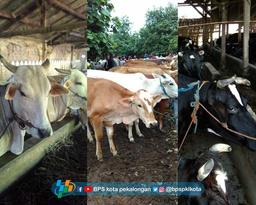 Data Collection of Livestock Slaughter Reports in RPH